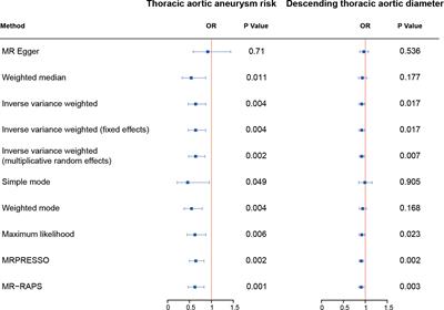 Serum fetuin-a and risk of thoracic aortic aneurysms: a two-sample mendelian randomization study